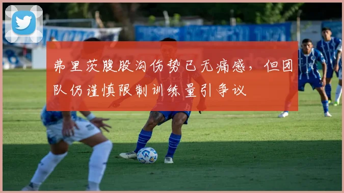 弗里茨腹股沟伤势已无痛感，但团队仍谨慎限制训练量引争议